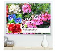 Pelargonien. Die Klassiker unter den Blühwundern (hochwertiger Premium Wandkalender 2026 DIN A2 quer), Kunstdruck in Hochglanz: Pelargonien werden ... die beliebtesten Garten- und Balkonblumen