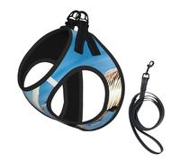 Pelican Bird Harnais et laisse en maille douce pour chien Motif ciel marin Bleu