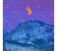 Flickering Resonance-Vinyle Orange