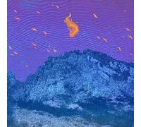 Pelican : Flickering Resonance