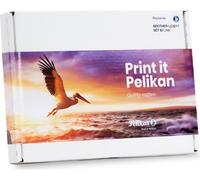 Pelikan PromoPack P48 - Compatible - noir - cyan - magenta - jaune - Brother - Multipack - 4 pièce(s) - LC3217 VAL