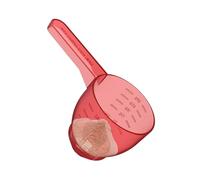 Pelle à poudre à laver, entonnoir, pelle pour poudre, cuillère de mesure pratique, cuillère à protéines, pelle multifonction pour nourriture pour chien, pour détergent en poudre, produits secs, café,