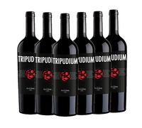 PELLEGRINO TRIPUDIUM 100% NERO D'AVOLA VIN ROUGE SICILIEN [ 6 Bouteilles x 750mℓ ]