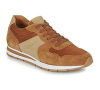 Pellet Baskets basses MARCEL in Marron 44