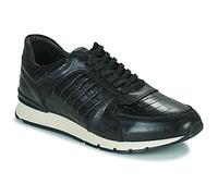 Pellet Baskets basses MAXIM in Noir 43