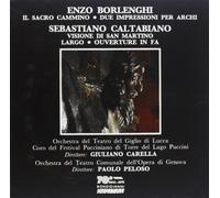 Peloso - Il Sacro Cammino-Visione Di S. Mart [Import]