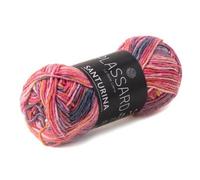 Pelote De Coton À Tricoter Santurina - Plassard 31 Multicolore Multicolore