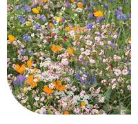 Pelouse de fleurs japonaises : mélange de fleurs - 50 g pour 25 m² - Fleurs annuelles et vivaces - Très attractif pour les insectes utiles - Convient à tous les sols