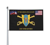 pelouse drapeaux 1er escadron, 4e régiment de extérieur drapeaux
