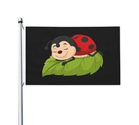 pelouse drapeaux Ladybug mignonne avec sept étoiles Bannière