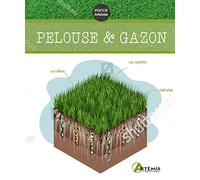 Pelouse & gazon