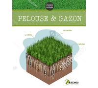 Pelouse & gazon