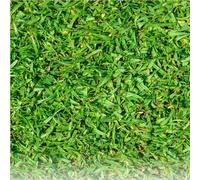 Pelouse Tropicale Kikuyu 250g