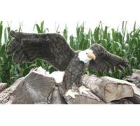 Aigle americain 75cm G