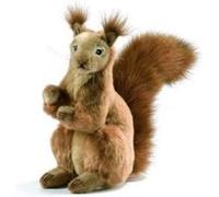 peluche anima ecureuil roux dresse 24 cm stop G