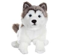 Peluche Chien Floppy Assis Husky - 25 Cm