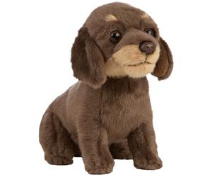 Peluche chiot teckel à poil dur AKAH