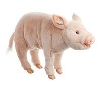 Peluche cochon Anima 63 cm G