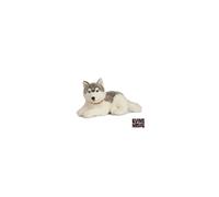 Peluche géant HUSKY