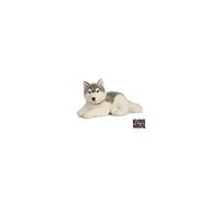 Peluche géant HUSKY