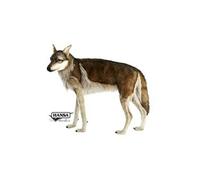 Hansa Peluche Geante Loup 4 Pattes 105cml