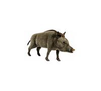 Hansa Peluche Geante Sanglier 95 Cm H Et 140 Cm L