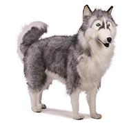 Peluche Husky 70cmH/90cmL