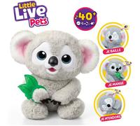 Little Live Pets My Baby Koala - Kiki, Peluche Interactive avec Plus de 40 Sons et réactions, 26 cm, Baille, Ouvre et Ferme Les Yeux, Mange sa Feuille, À partir de 4 Ans