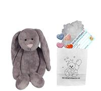 Peluche Lapin Gris - kit pour réaliser créer Un Ours en Peluche, nounour - Pas de Couture - pour Cadeau ou fête - Taille: 25 cm