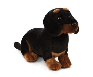 Peluche Living Nature - Chien teckel en peluche (20 cm)