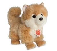 Peluche Loulou De Poméranie 22 Cm (22 Cm)