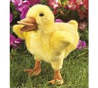 Peluche marionnette poussin 23 cm de la marque Folkmanis G