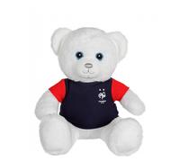 Peluche - ours fff- 25 cm Équipe de France blanc TU