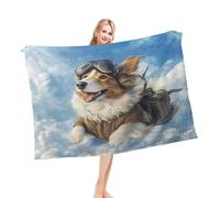 Peluche Plaid Chien De Berger Shetland Drôle, Bluesky Diving, Peinture, Sports Léger Plaid Flanelle Moelleux Couverture Polaire pour Voyages Maison Femme L