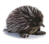 Peluche Porc épic 26 cm G