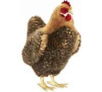 Peluche Poule Beige - 40 cm Beige G