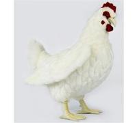 Peluche poule blanche Anima 39 cm