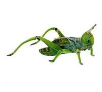 Peluche sauterelle verte 35 cm de la marque Anima.