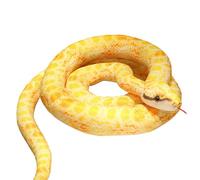 Peluche Serpent - Grand Boa En Peluch 110 Cm, Jouet Réaliste Ultra Doux, Câlin | Animaux En Peluchee Géants Pour , Filles, Garçons, Femmes, Hommes, Décoration De La Maison, Cadeau Confortable,