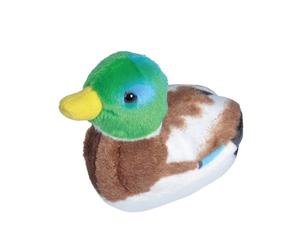 Peluche sonore Canard colvert