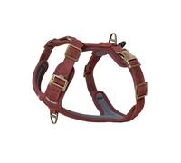 Peluvio Lord Harnais pour Chien en Cuir de Vache Véritable, Harnais Classique Réglable pour Chien avec Boucles en Cuivre, Contrôle Confortable Lors de la Marche pour Petits Moyens et Grands Chiens