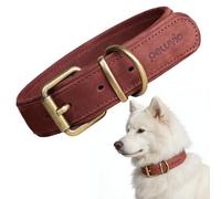 Peluvio Rexor Collier pour Chien en Cuir de Vachette Véritable, Collier Réglable avec Boucle en Cuivre, Collier pour Chien Robuste et Confortable, Résistant à l'usure et Durable, Petit, Moyen et Grand