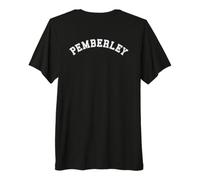Pemberley Orgueil et préjugés Jane Austen Book Lover T-Shirt Haut de Gamme