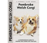 Pembroke Welsh Corgi