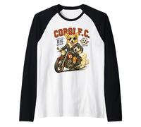 Pembroke Welsh Corgi sur Moto Amour Football Football DIGOR Manche Raglan