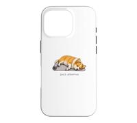 Pembroke Welsh Corgi Yoga Dog Day 3 Tentative Coque pour iPhone 16 Pro
