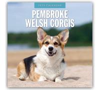 Pembroke Welsh Corgis 2025 Square Wall Calendar