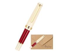 Pen rechargeable de poche - remplissage en métal mince, astuce supplémentaire | Vintage -style -ink -in-flow Contrôle, conception de plume lisse facile + parfaite pour l'école de bureau quotidienne