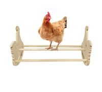 Penca de dressage pour perroquets, perche à rouages du collo, base d'oiseaux de volaille en bois - Cintres multifonctionnels pour oiseaux pour perroquets, cacatoès, conures, tourtereaux ou perruches