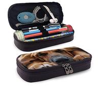 Pencil Bag Pouch Zipper Pencil Box Blue Eyes Cool Wolf Painting Art Multipurpose Stationary Case Zipper Makeup Bag for Painter Drawing Painting Student, Back to School